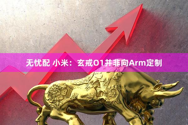 无忧配 小米：玄戒O1并非向Arm定制