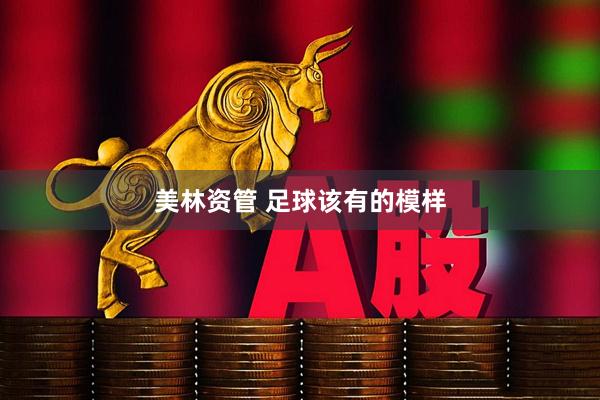 美林资管 足球该有的模样
