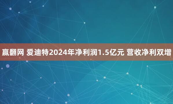 赢翻网 爱迪特2024年净利润1.5亿元 营收净利双增